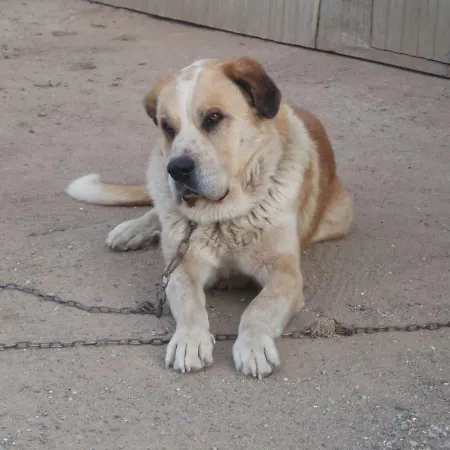 Penasalve ベッド・アンド・ブレックファスト