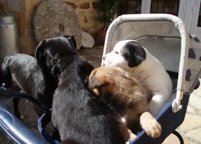 Penasalve 3* Villamonico